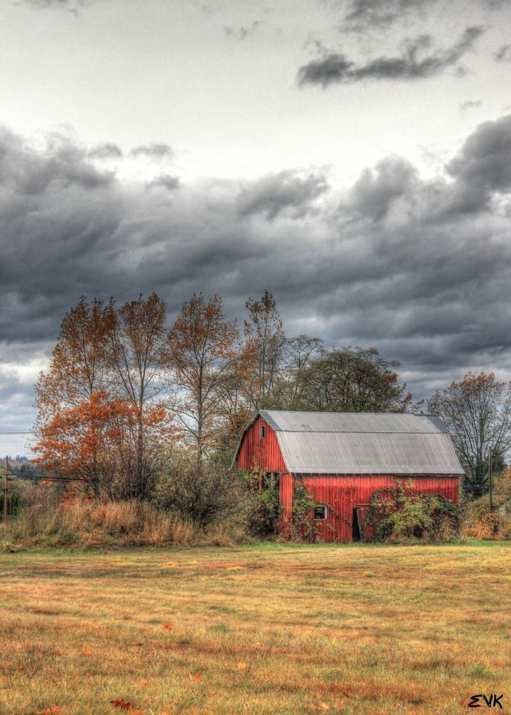 barn, red, autumn