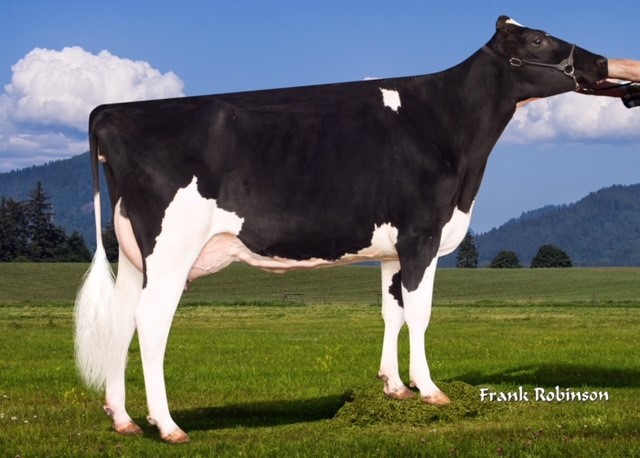 Sildahl-BA Lonely Island VG 88