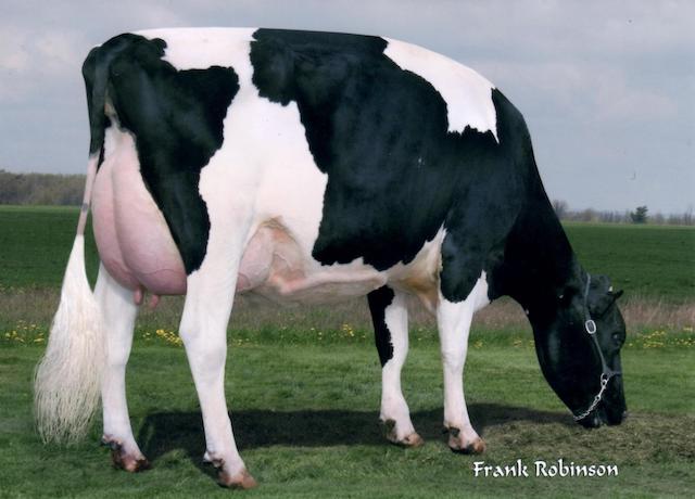 Sildahl Air Marshall EX 91
