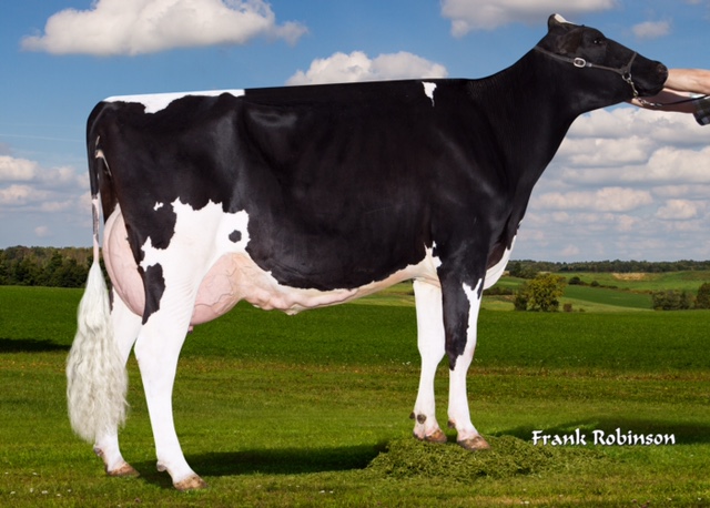 Sildahl Atwood Jazzaam EX 91