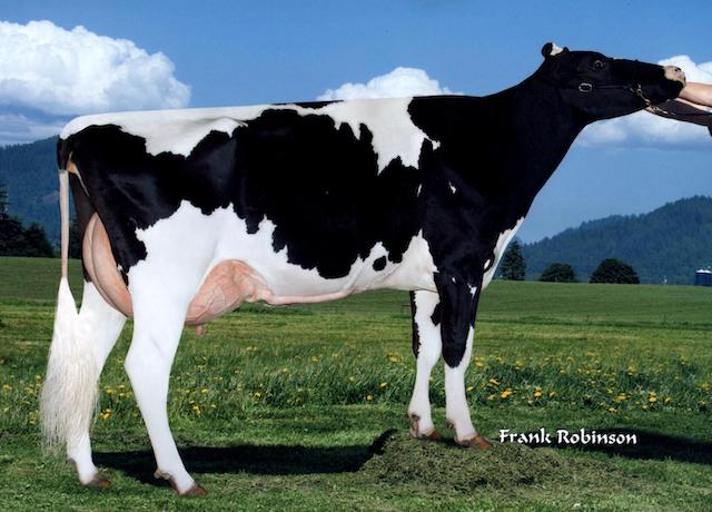 Sildahl-AM Fiesta Pronto EX 91